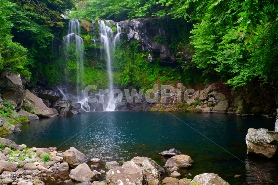 제주도,천제연폭포,폭포,자연,풍경,용소,숲,바위,물,자연,풍경,nature,landscape,한국자연풍경,한국자연경관,korea nature landscape,제주도,jeju,jeju island,water,outdoors,옥외,river,강,waterfall