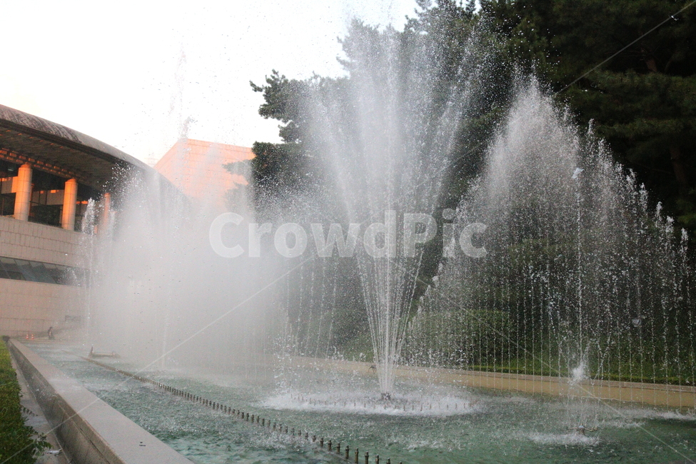 분수,분수대,물,공원,예술의전당,나무,소나무,자연,풍경,nature,landscape,water,fountain