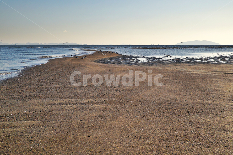 선재도,모래톱,서해,옹진군,인천,바다,갯벌,썰물,바닷길,해변,바다,beach,sea