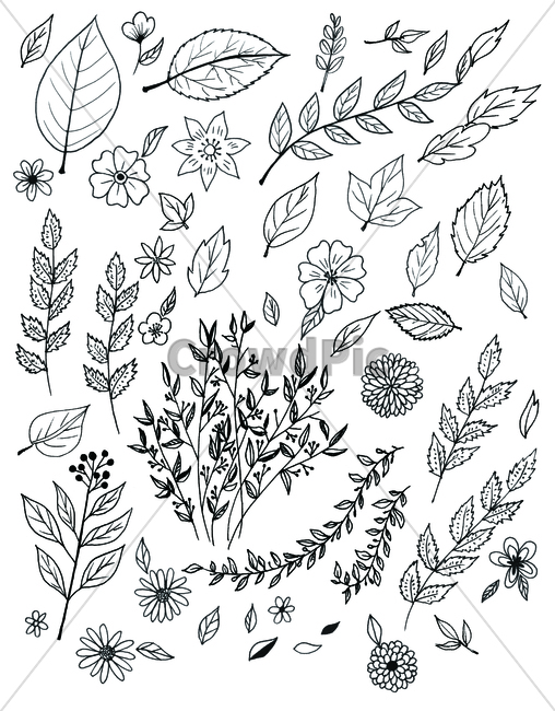 손그림,handdrawing,낙엽,fallenleaves,deadleaves,팬그림,팬라인,pen,penline,penpicture,pendrawing,꽃,flower,bloom,blossom,나뭇잎,leaf,foliage,umbrage,나뭇가지,bough,twig,sprig,branch