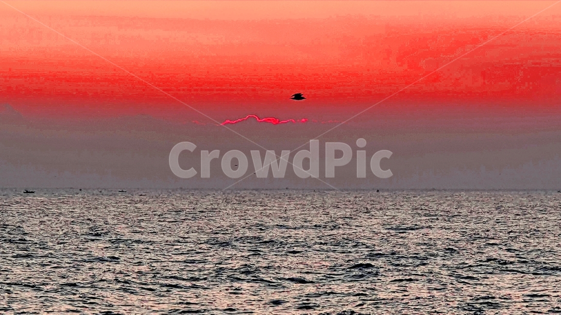 natural,redsky,속초,동해,dawn,새벽,sunrise,sky,자연,풍경,nature,landscape