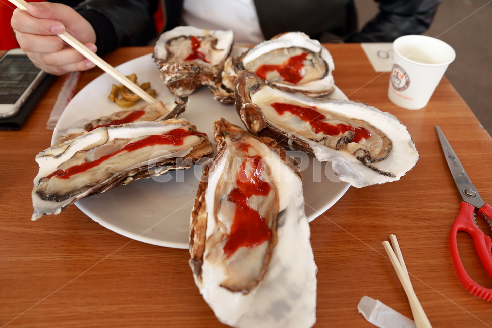 벚굴,왕굴,봄굴,강굴,oyster