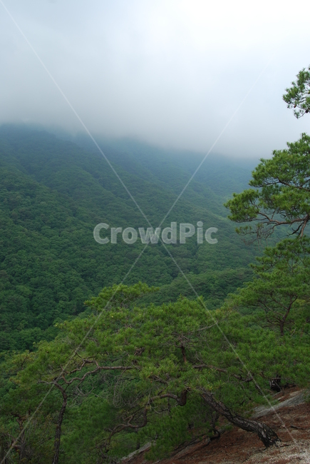 산,mountain,trail,sky,등산로,자연,풍경,nature,landscape,outdoors,옥외