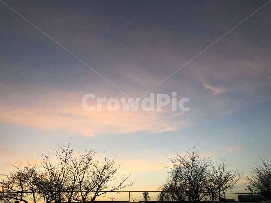 하늘,노을,나무,푸른,sky