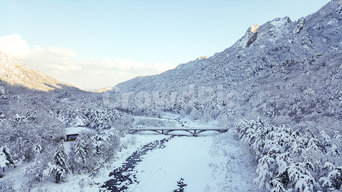눈,snow,겨울,나무,winter,겨울,계절,winter,season,자연,풍경,nature,landscape