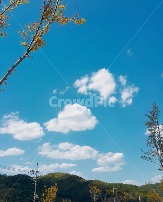 자연환경,bluesky,맑은하늘,sky,하늘,시골,풍경
