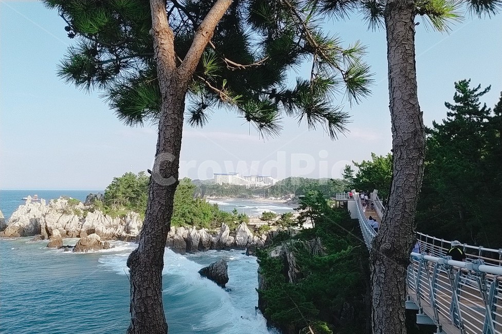 바위,하늘,바다,자연,파랑색,바닷가,여름,여름바다,구름,파도,sky,sea,나무,초록색,바위섬