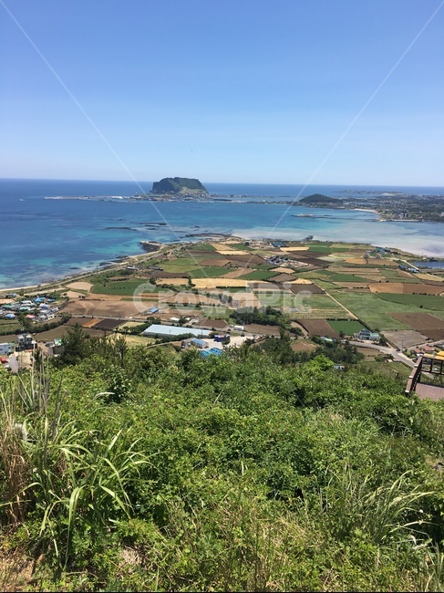 제주도,지미오름,성산뷰,봄제주,등산,바다뷰,제주도,jeju,jeju island,시골,마을,풍경,landscape,country,rural,town,scenery,outdoors,옥외,nature,자연,경치,land,땅,sea,바다,ocean,대양,water,물,shoreline,해안선,plant,식물,vegetation,초목