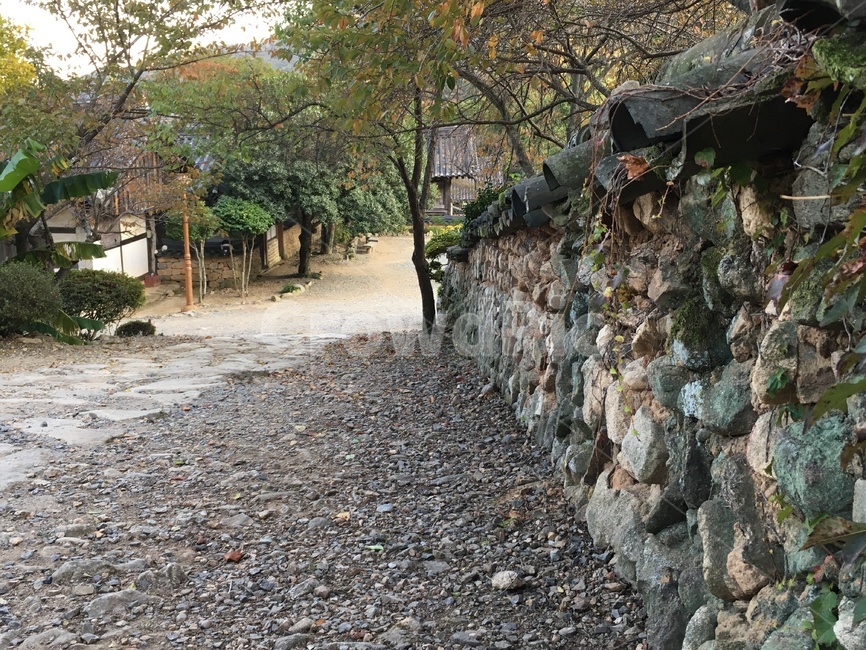 선암사,풍경,가을,낙엽,돌담장,돌담,담장,기와,선암매,산사,산지승원,절,사찰,불교,템플스테이,기도,유네스코,세계문화유산,흙길,돌길,산책,가을,계절,fall,autumn,season,한국전통,한국문화,korean traditional,korean culture,gravel,자갈,dirt road,road,도로,wall,벽,rubble,파편