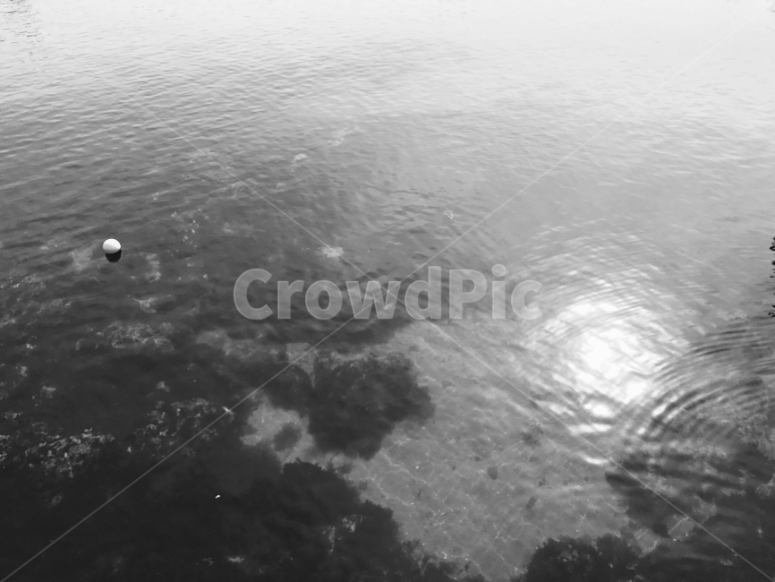 흑백,동해,바다,강원도,해변,해수욕장,흑백,모노톤,monochrome,black and white