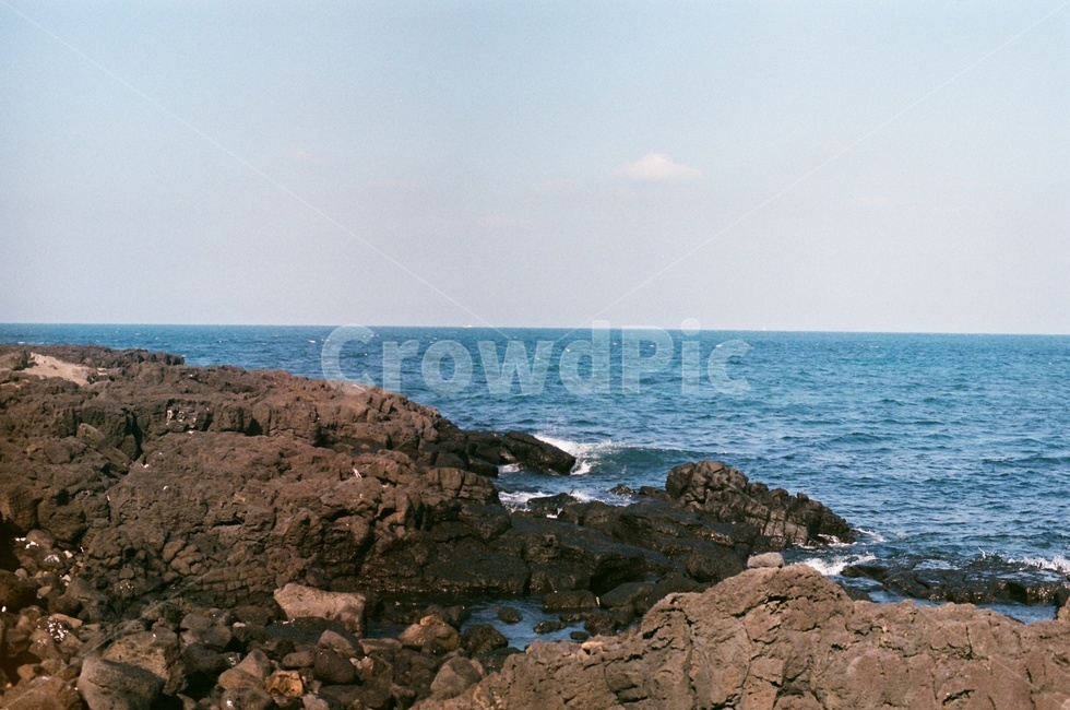 제주도,사려니숲길,jeju,나무,겨울,제주겨울,숲길,산책로,자연,풍경,nature,landscape,한국자연풍경,한국자연경관,korea nature landscape,제주도,jeju,jeju island,promontory,곶