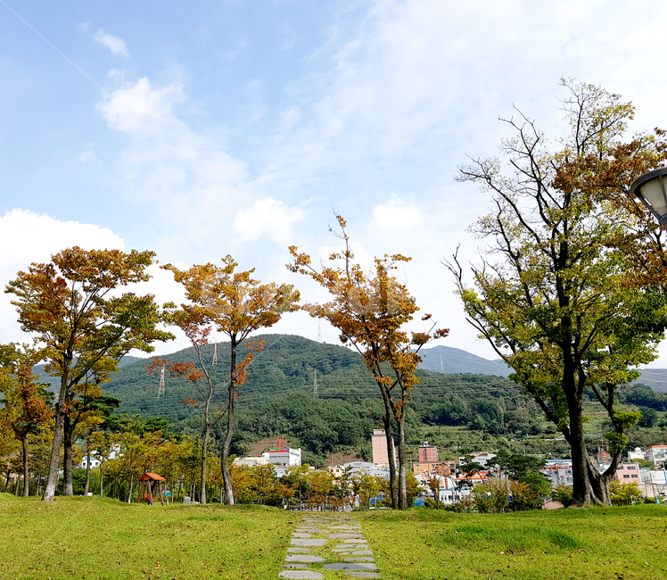 plant,식물,grass,잔디,tree,나무,양산시,거리,nature,자연,outdoors,옥외,가늘하늘,하늘,sky,자연,풍경,nature,landscape