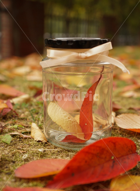 가을,낙엽,유리병,단풍,따뜻함,그리움,fall,season,기다림,가을,계절,fall,autumn,season