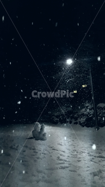 눈,겨울,눈사람,공원,가로등,겨울,계절,winter,season,야경,밤,풍경,nightscape,night,landscape