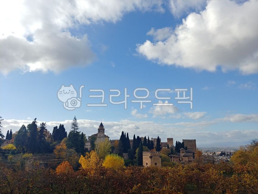 nature,tree,Granada,Alhambra Palace,fir,Spain,outdoors,plant,sight,weather,alhambra