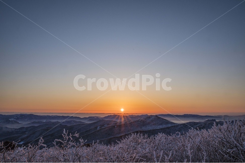 태백산,일출,설산,눈꽃,상고대,산,아침,겨울,계절,winter,season,자연,풍경,nature,landscape,outdoors,옥외,flare,플레어,light,빛,sky,하늘,sunlight,햇빛,dusk,황혼,red sky,붉은 하늘,dawn,새벽,sunset,일몰