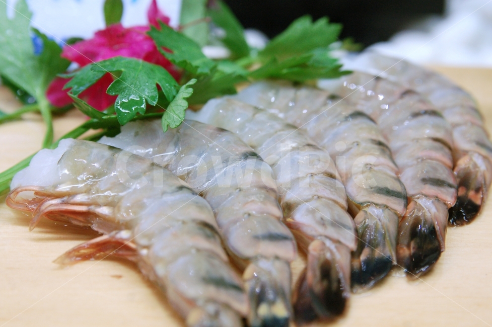 새우,생새우,대하,해산물,해물,수산물,식재료,음식재료,요리재료,오브젝트,음식,식재료,요리,food,cook,meal,dishes,food reserves,수산물,해산물,fishery products,seafood