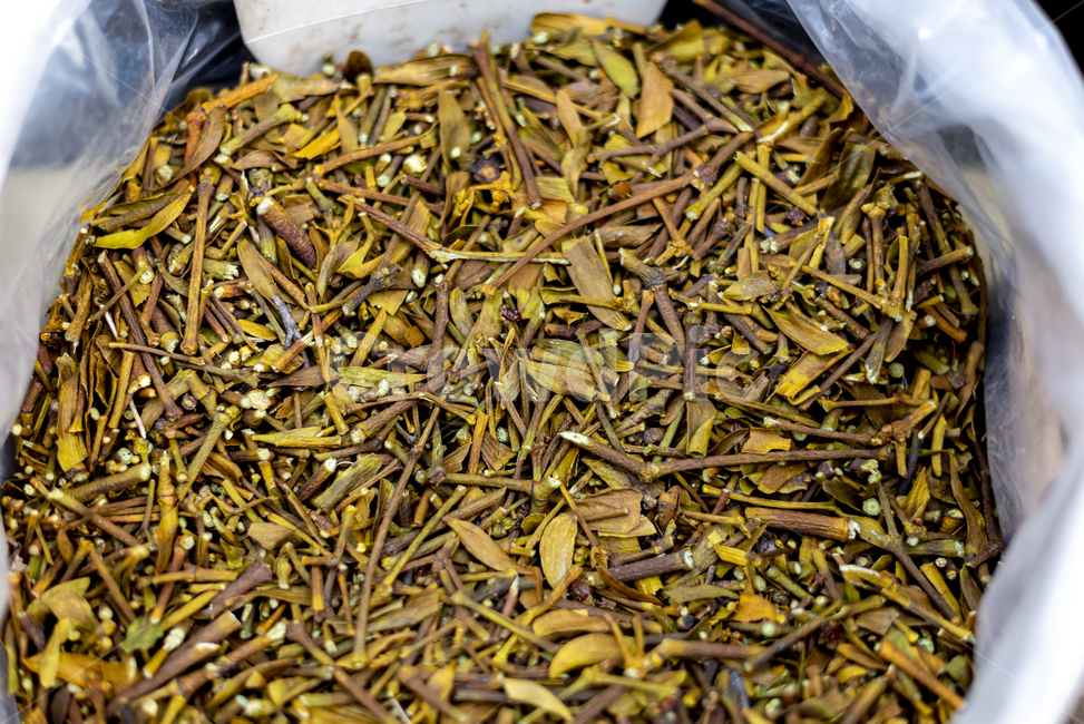 약재,한약,한방,겨우살이,한의약,식품,음식,tea,차,음료,겨울,나무,겨울나무,식물,plant