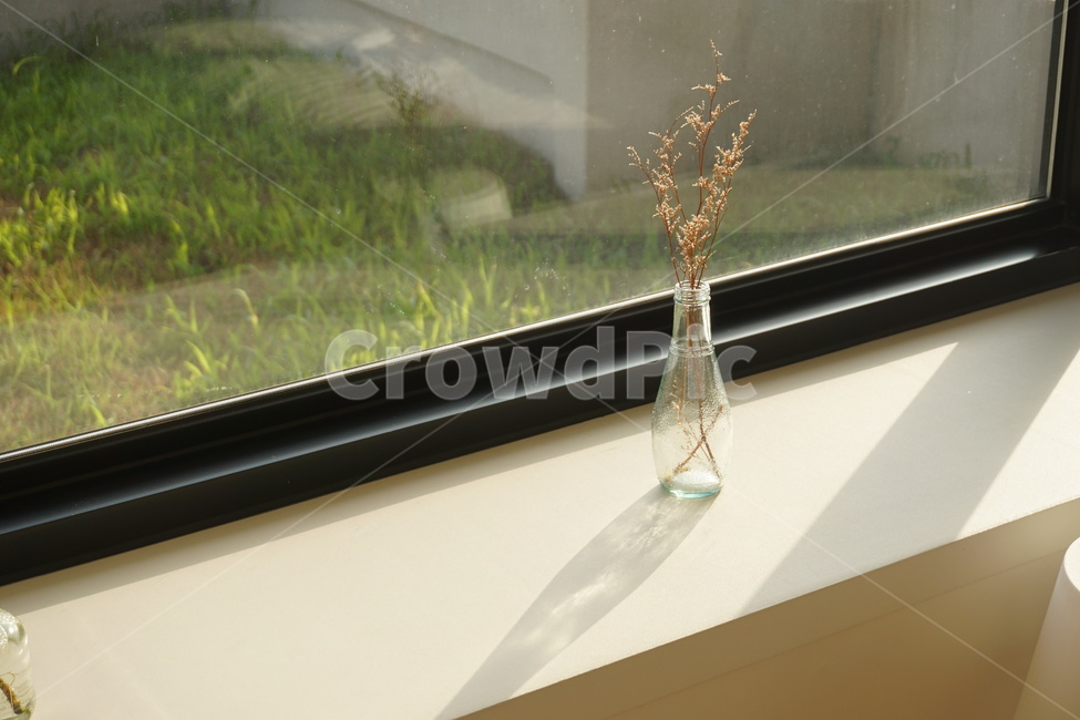 homedecor,인테리어,화병,꽃병,드라이플라워,그림자,창가,감성사진,interior,vase,dryflower,홈데코,햇빛