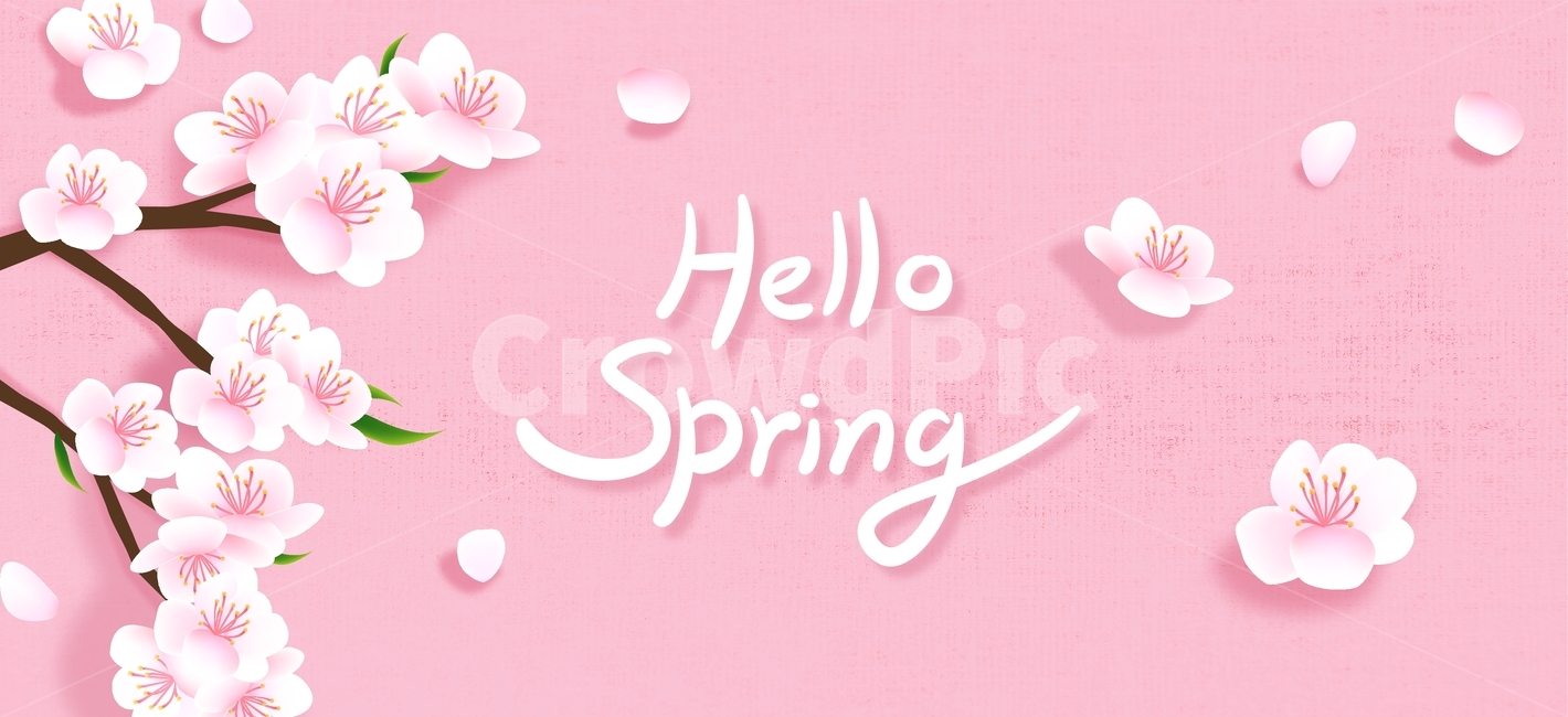 벚꽃,꽃,가지,캘리그라피,손글씨,봄,팝업,이벤트,쇼핑,봄,계절,spring,season,그래픽,일러스트레이션,graphic,illustration,캘리그라피,손글씨,calligraphy