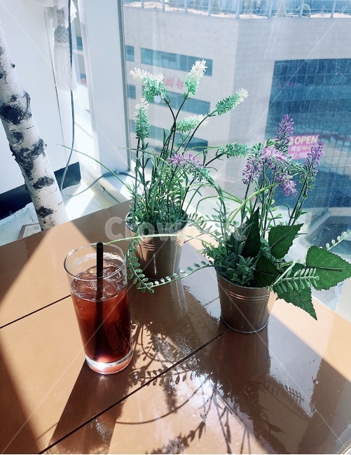 감성,카페,커피,아이스아메카노,식물,커피,카페,coffee,cafe