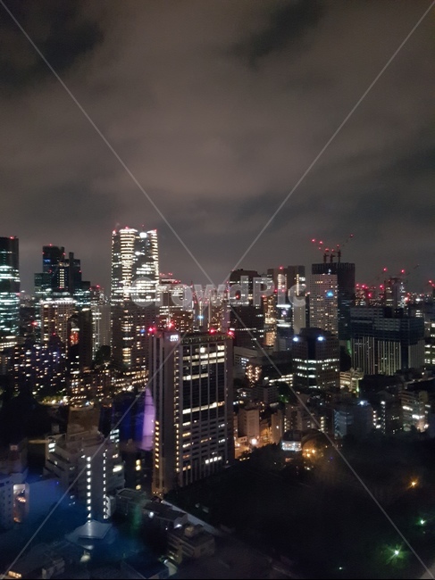 도시,야경,밤하늘,불빛,city,night,고층빌딩