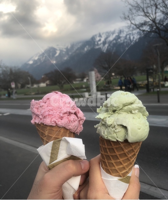 dessert,디저트,cream,creme,person,식품,food,크림,스위스,융프라우,음식,식재료,요리,food,cook,meal,dishes,food reserves,디저트,간식,후식,dessert,snack