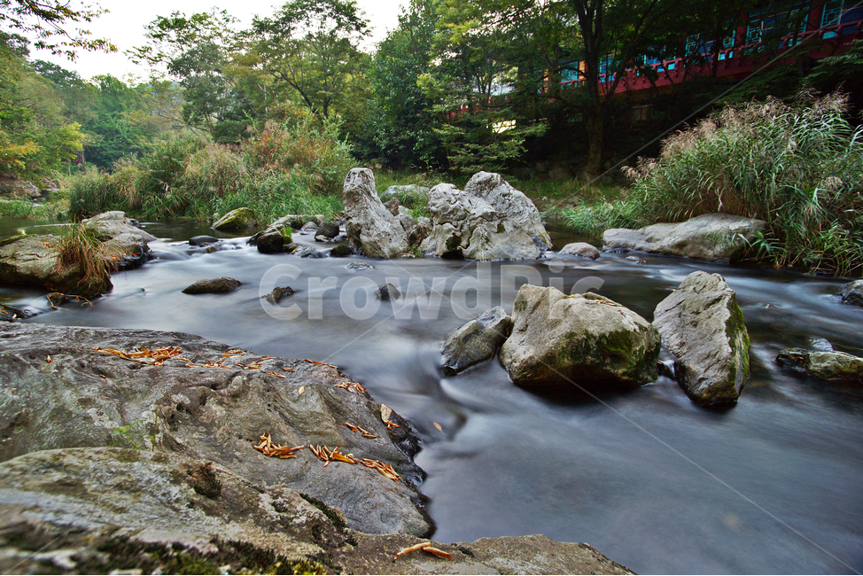 계곡,급류,폭포,여울,가을,자연,자연,풍경,nature,landscape,water,물,outdoors,옥외,creek,작은 만,stream,흐름