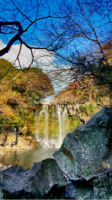 천제연,자연,nature,water,물,자연,풍경,nature,landscape