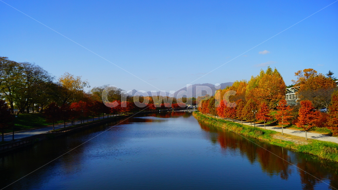 담양,광주근교,메타세콰이어,가로수,강변,가로수길,가을,계절,fall,autumn,season,자연,풍경,nature,landscape,water,물,outdoors,옥외