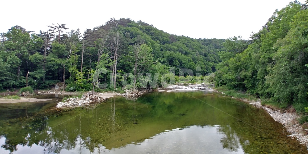 물,나무,녹색,맑음,강가,숲,tree,water,green,river,woods,자연,풍경,nature,landscape,outdoors,옥외,land,땅,plant,식물