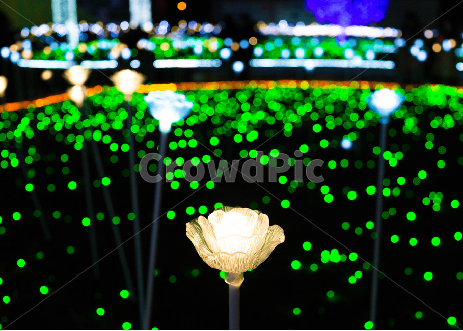불빛,야경,조명,화려한,led
