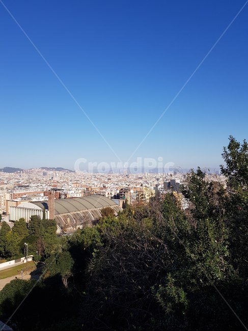 nature,자연,landscape,경치,scenery,풍경,tree,나무,도시,하늘,뷰,city,town,sky