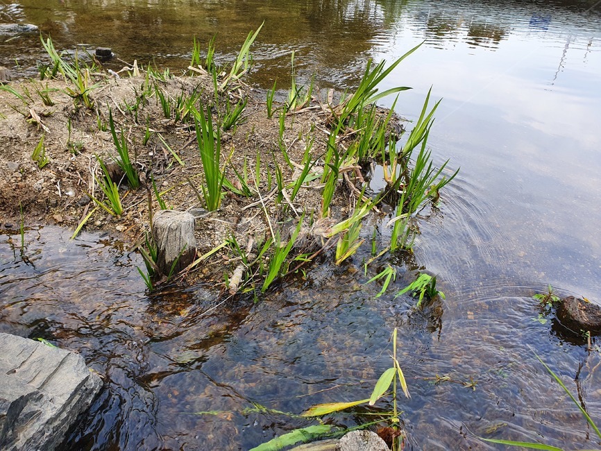 land,땅,outdoors,nature,자연,water,물,습지
