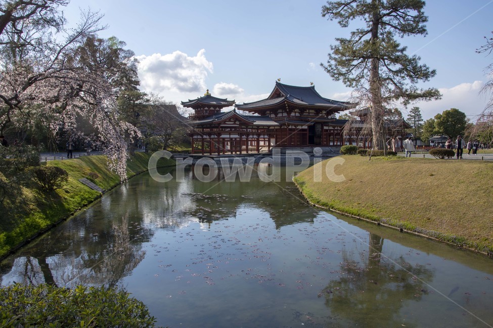 architecture,건축물,building,건물,연못,pond,배경,background