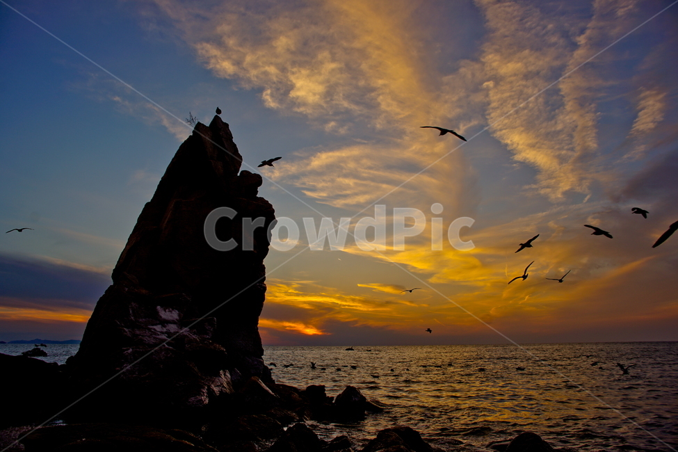 선녀바위,영종도,해변,일몰,갈매기,석양,자연,풍경,nature,landscape,동물,animal,조류,새,birds,실루엣,그림자,silhouette,shadow,outdoors,옥외,bird