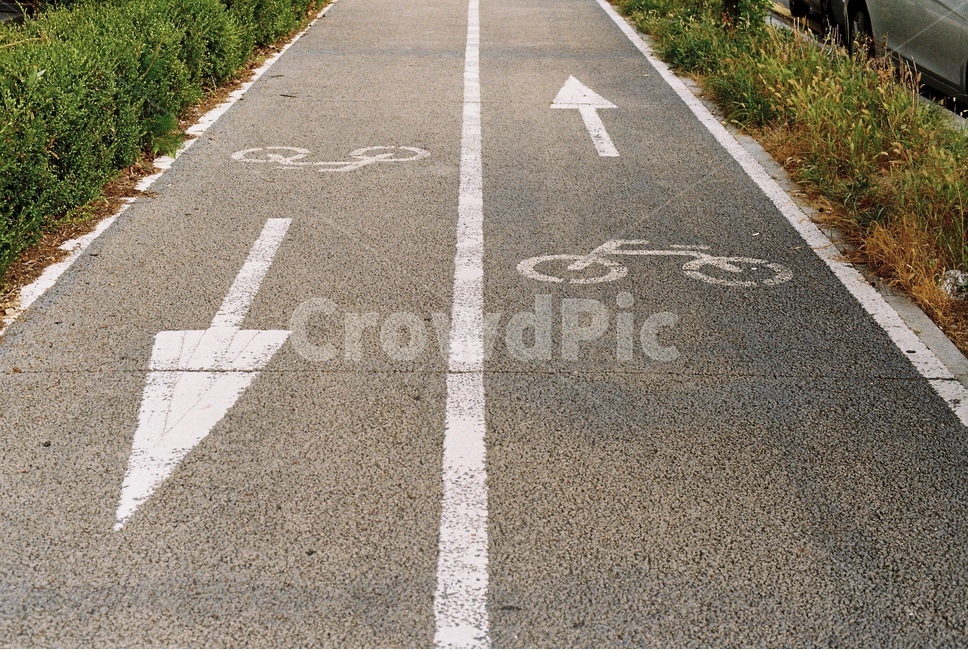 길,자전거,도로,자전거도로,road,bicycle,riding,감성사진,따뜻한,가을,방향,선택,갈림길,인생,교통,교통수단,traffic,transportation