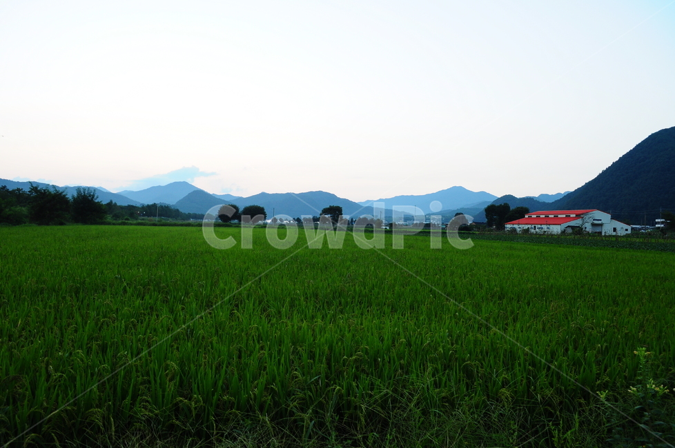 시골,풍경,자연,밭,산,하늘,시골,마을,풍경,landscape,country,rural,town