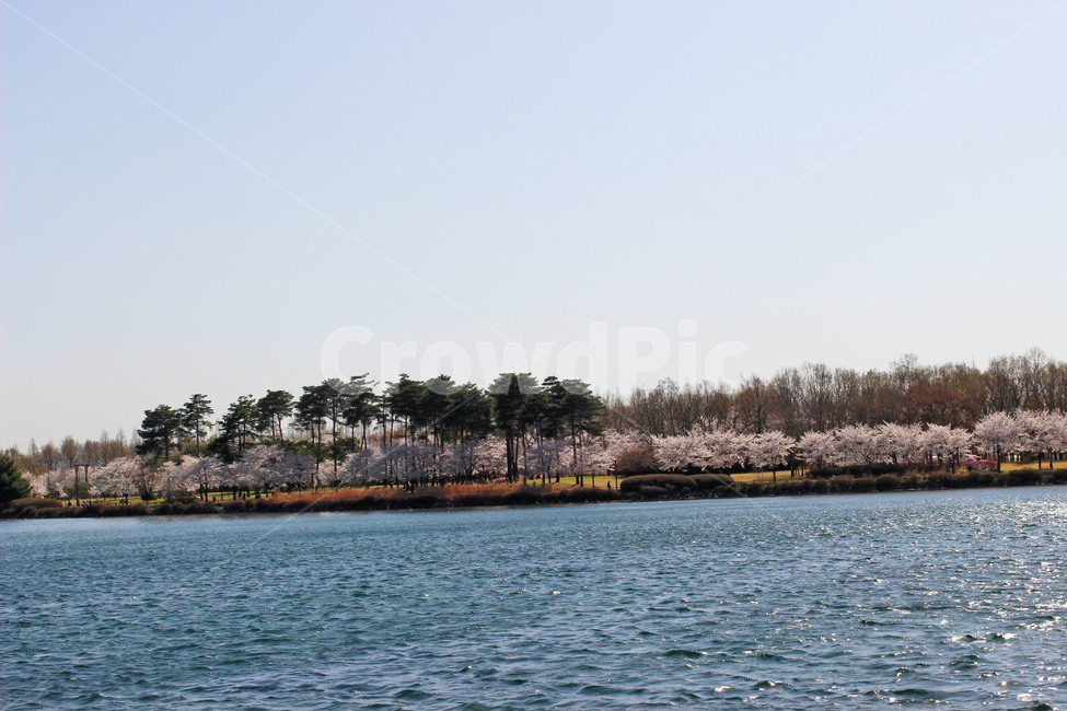 호수,일산호수공원,lake,lakepark,잔잔함,자연,물,자연,풍경,nature,landscape,water,outdoors,옥외,land,땅