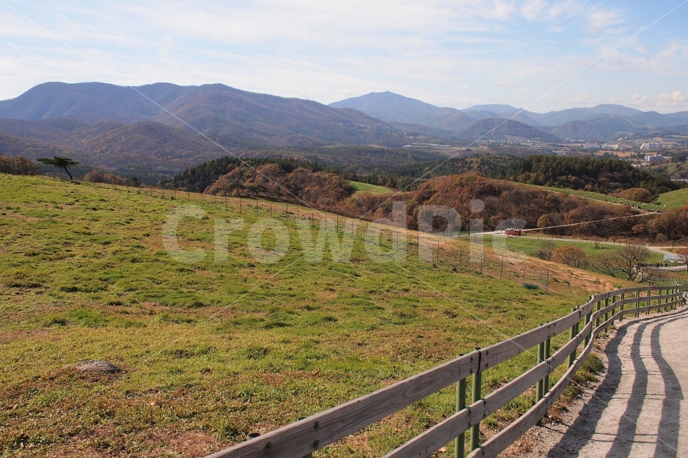 목장,초원,잔디,평창,초록,여행,배경,자연,풍경,nature,landscape,한국자연풍경,한국자연경관,korea nature landscape,banister,난간,handrail,outdoors,옥외