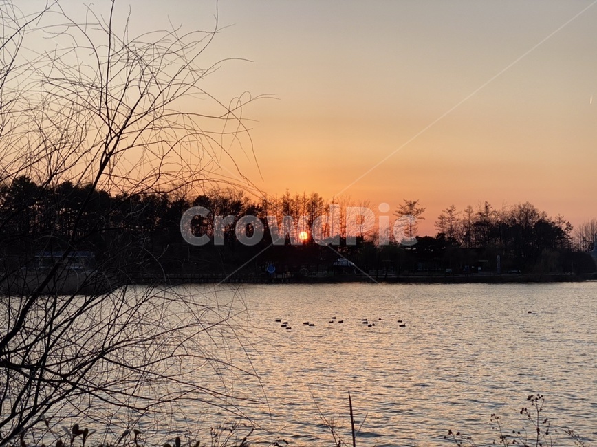 한국,korea,자연,풍경,산책,저수지,노을,붉은노을,하늘,오리,나무,redsky,sunset