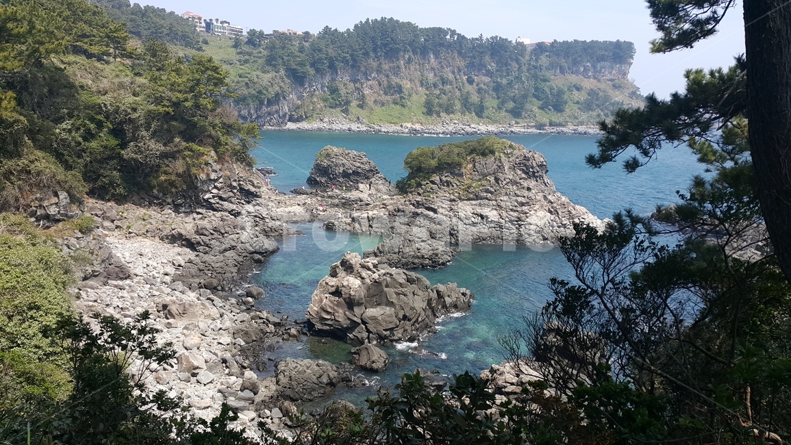 제주도,선녀탕,서귀포,풍경,절벽,바다,배경,자연