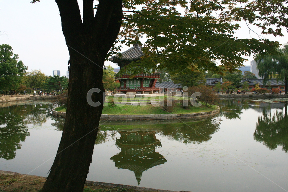 경복궁,향원정,서울,seoul,korea,한옥,궁,건축물,대한민국,한국