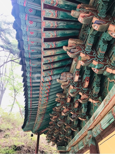 temple,koreantemple,절,사원,연등