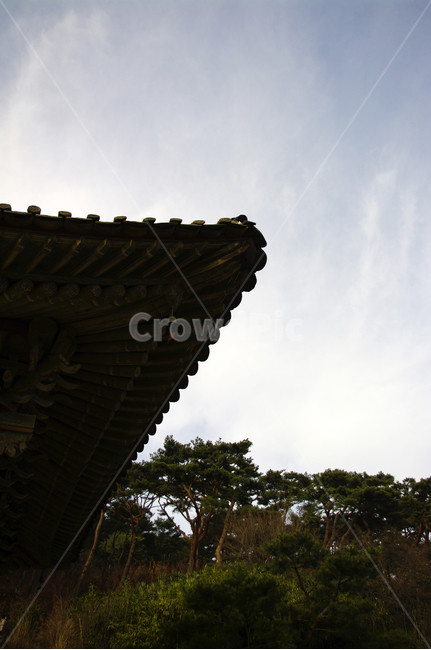 처마,풍경,단청,한국,전통,한국전통,한국문화,korean traditional,korean culture,건축물,건물외관,exterior,building,structure,architecture,construction