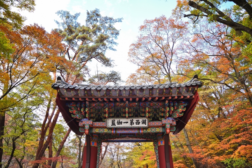 사찰,절,법주사,속리산,단풍,가을,풍경,사진,대문,금강문,한옥,낙엽,오색,광각,하늘,가을,계절,fall,autumn,season,한국전통,한국문화,korean traditional,korean culture,종교,신앙,religion,belief,faith,건축물,건물외관,exterior,building,structure,architecture,construction,건물,temple,신전,shrine,신사,pagoda,탑,worship,예배