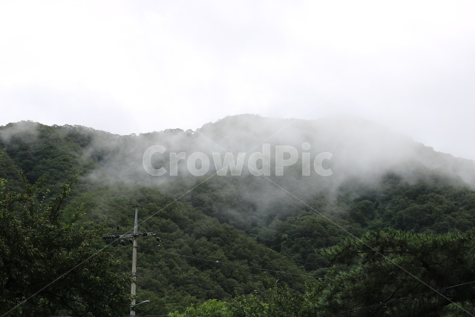 산,나무,안개,전봇대,자연,풍경,mountain,tree,fog,nature,scenery,yama,ki,kiri,자연,풍경,nature,landscape,weather,날씨,outdoors,옥외