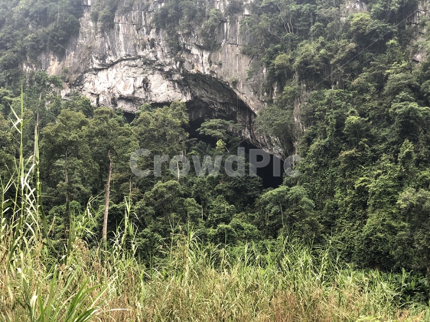 nature,자연,cave,동굴,세계최대동굴,베트남