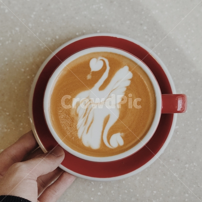 백조,라떼아트,아트,라떼,커피,커피,카페,coffee,cafe,감성,sensible,feeling