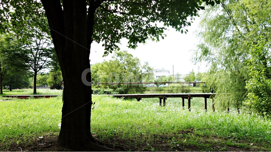 나무,tree,다리,공원,자연,park,자연,풍경,nature,landscape,식물,plants,나무,trees,wood,plant,tree trunk,나무 줄기